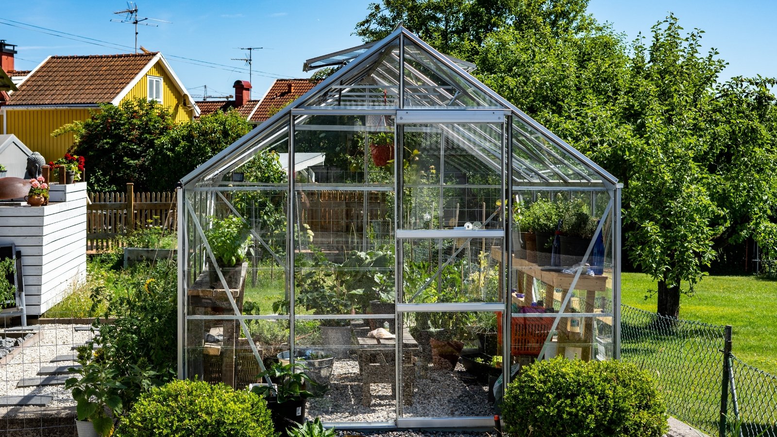 A quaint greenhouse made of glass and metal, nestled in a backyard, with various plants visible through the transparent walls and a well-manicured lawn surrounding the structure.