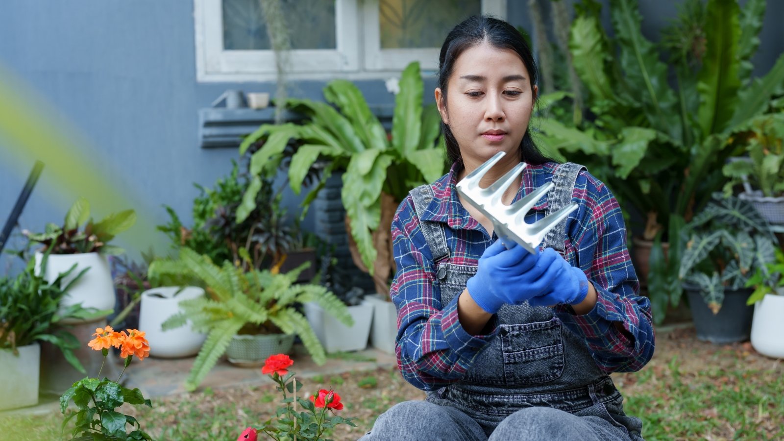 A person in blue gloves carefully inspecting a small rake outdoors, with leafy plants and pots in the background.