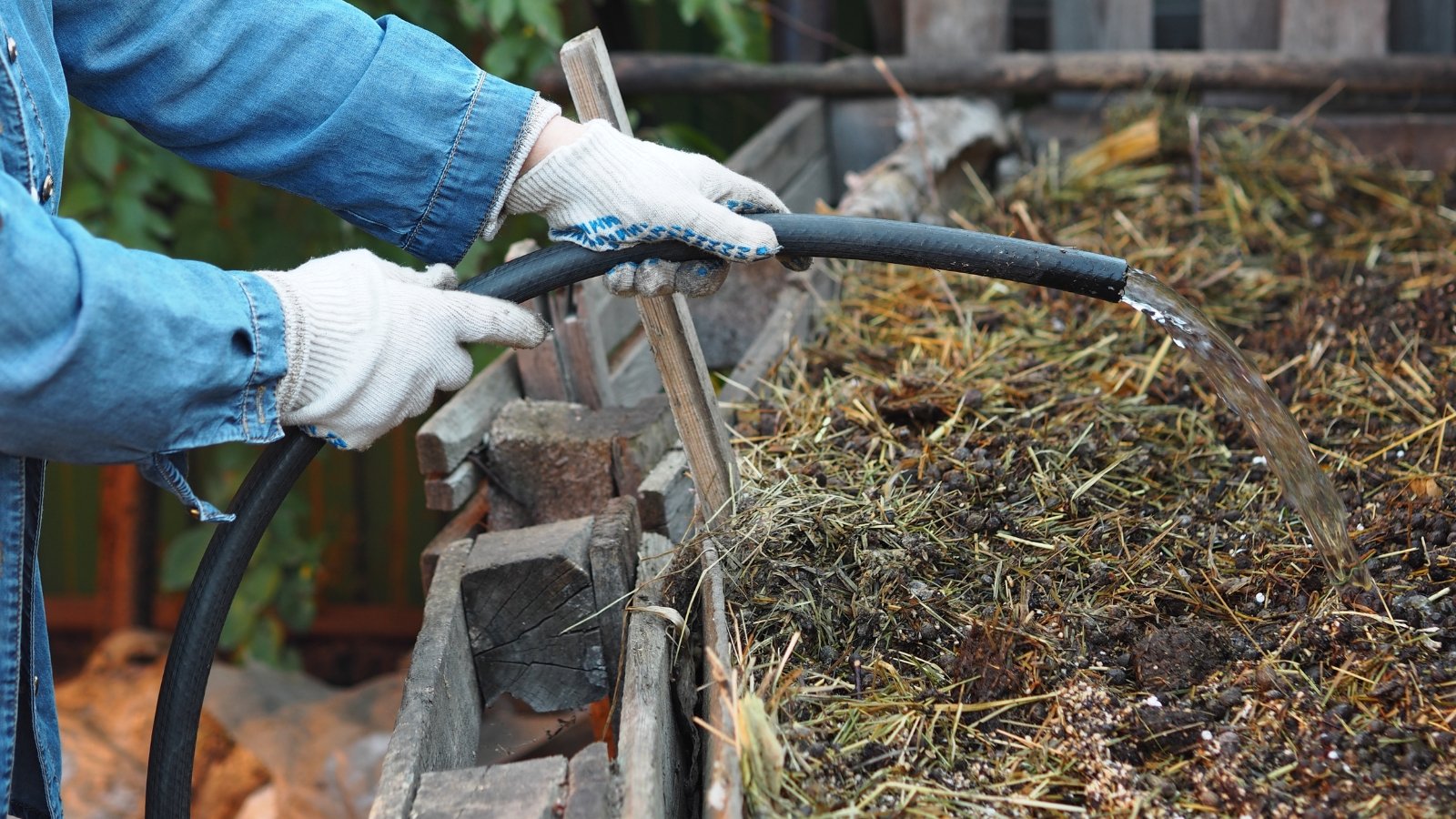 A person in blue sleeves and white gloves is spraying water over layers of dried organic matter piled in a wooden container in an outdoor setting.