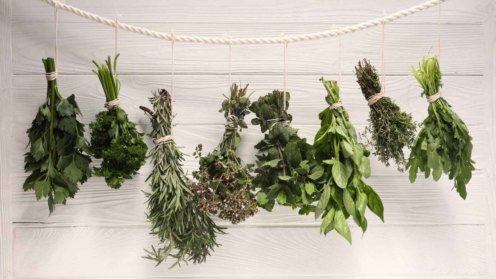 Bunches of aromatic herbs, including leafy parsley, mint, basil, and slender thyme and rosemary, hang neatly on a rope, creating a rustic display.
