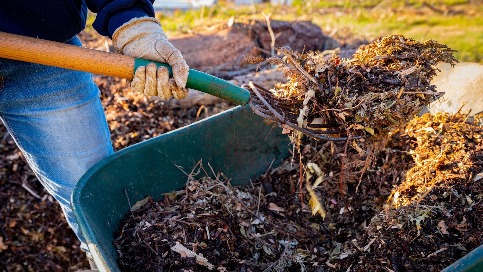 Hands in gloves guide a large pile of damp mulch from a wheelbarrow onto the soil, with rich brown mulch spilling onto the earth beneath, surrounded by dry and scattered leaves.