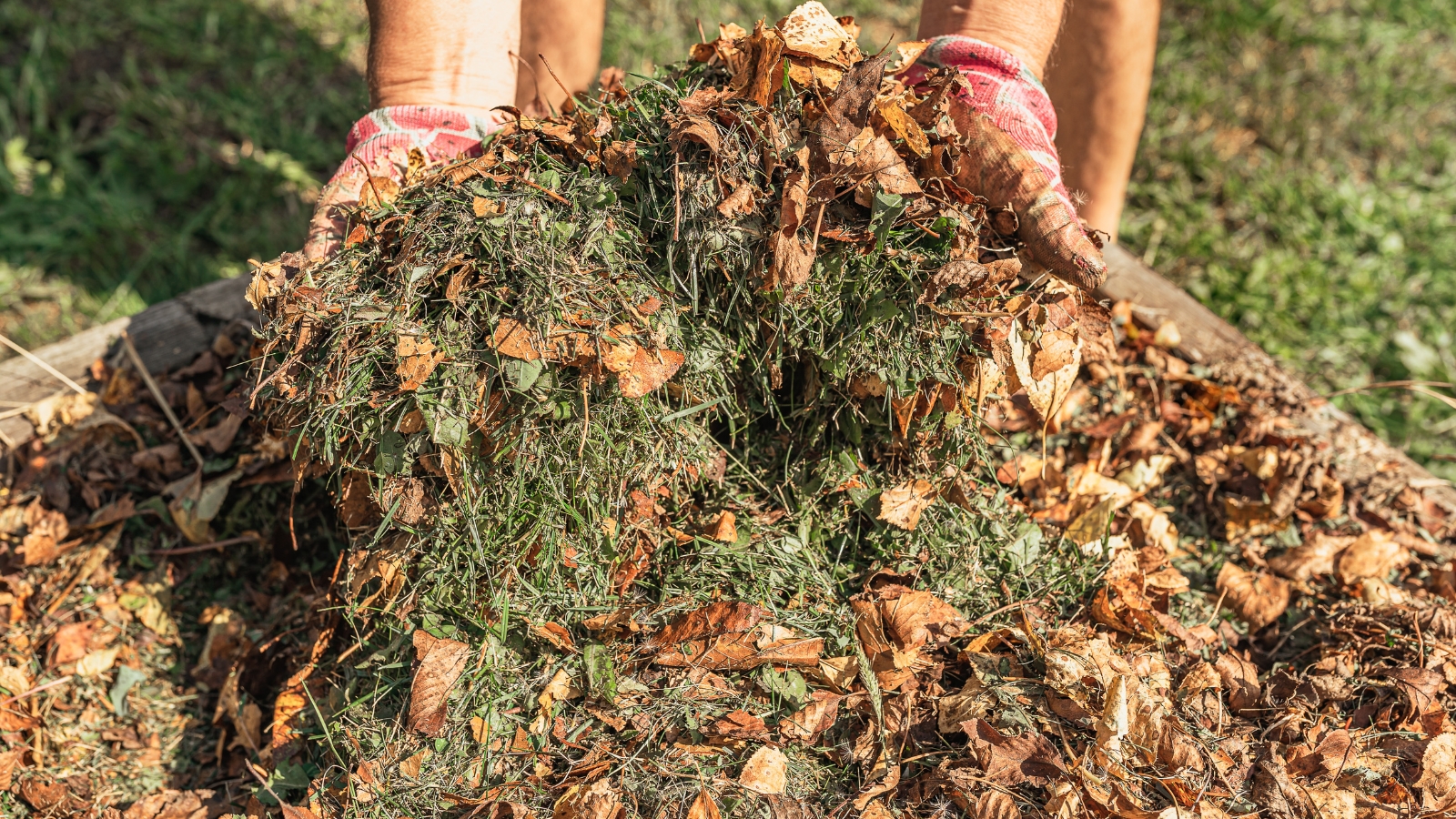 A mix of shredded green grass and dry, brown fallen leaves spread across a wooden crate.