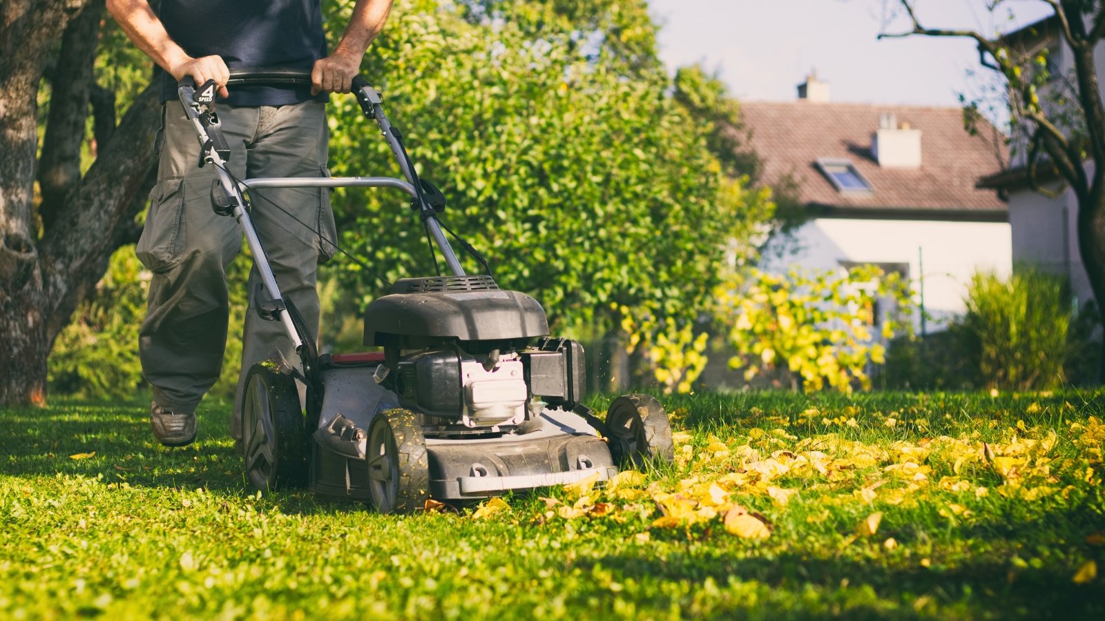 A gardener pushes a large lawn mower over grass scattered with dry orange leaves.
