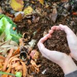 How Scorching Should My Compost Pile Be?