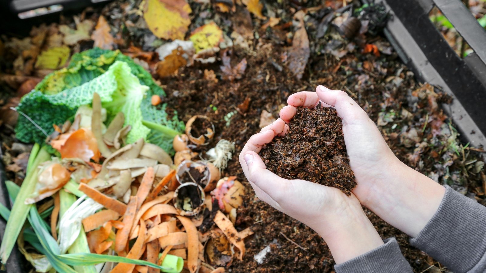 How Scorching Should My Compost Pile Be?