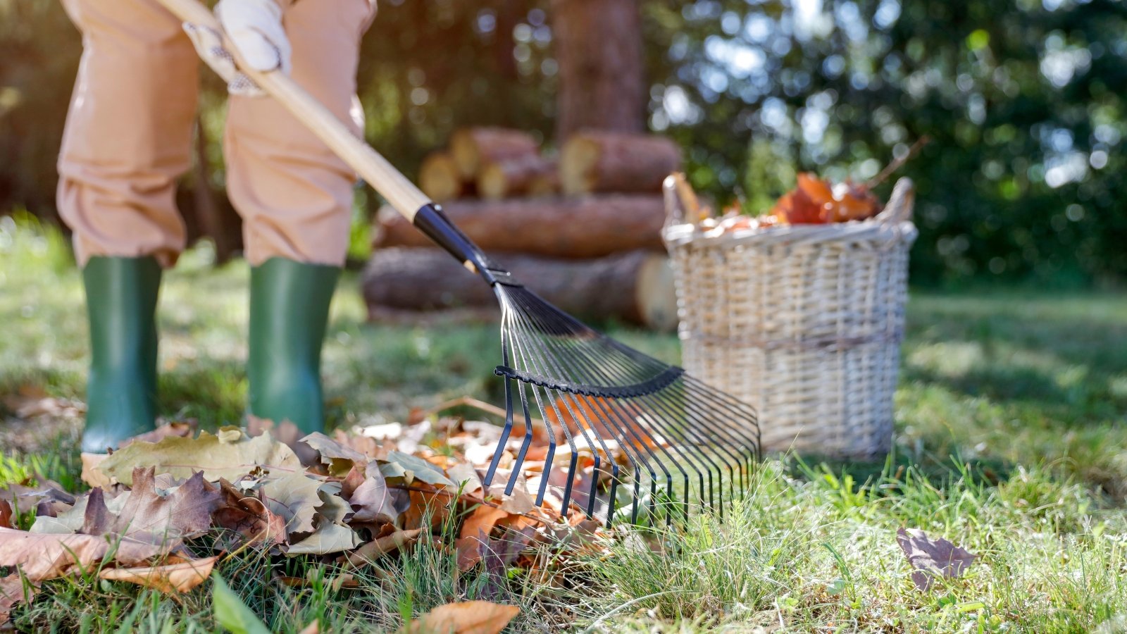 11 Fall Gardening Duties You Shouldn’t Ignore