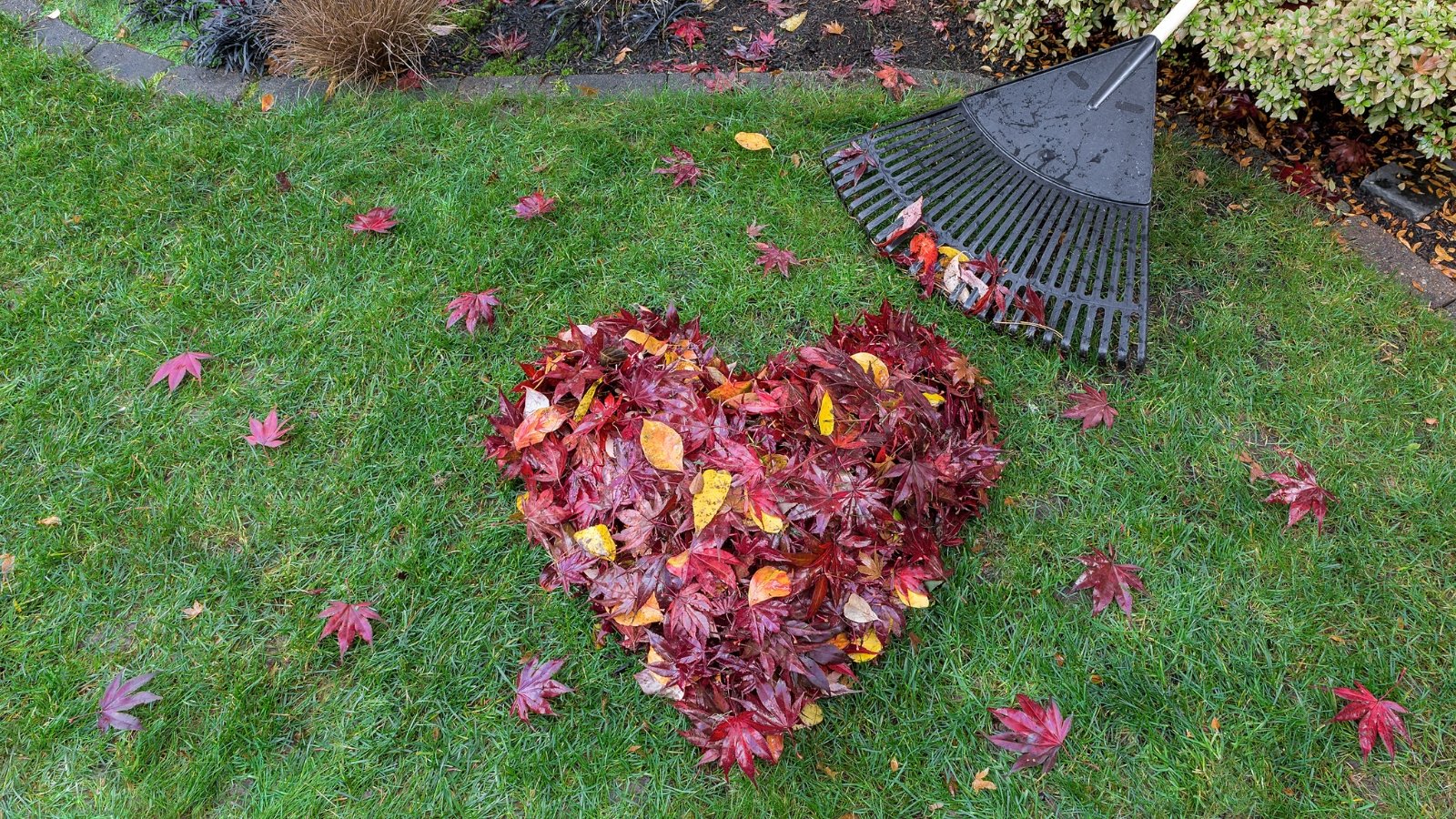 Go away the Leaves in Your Yard With out Creating A Mess: 7 Concepts