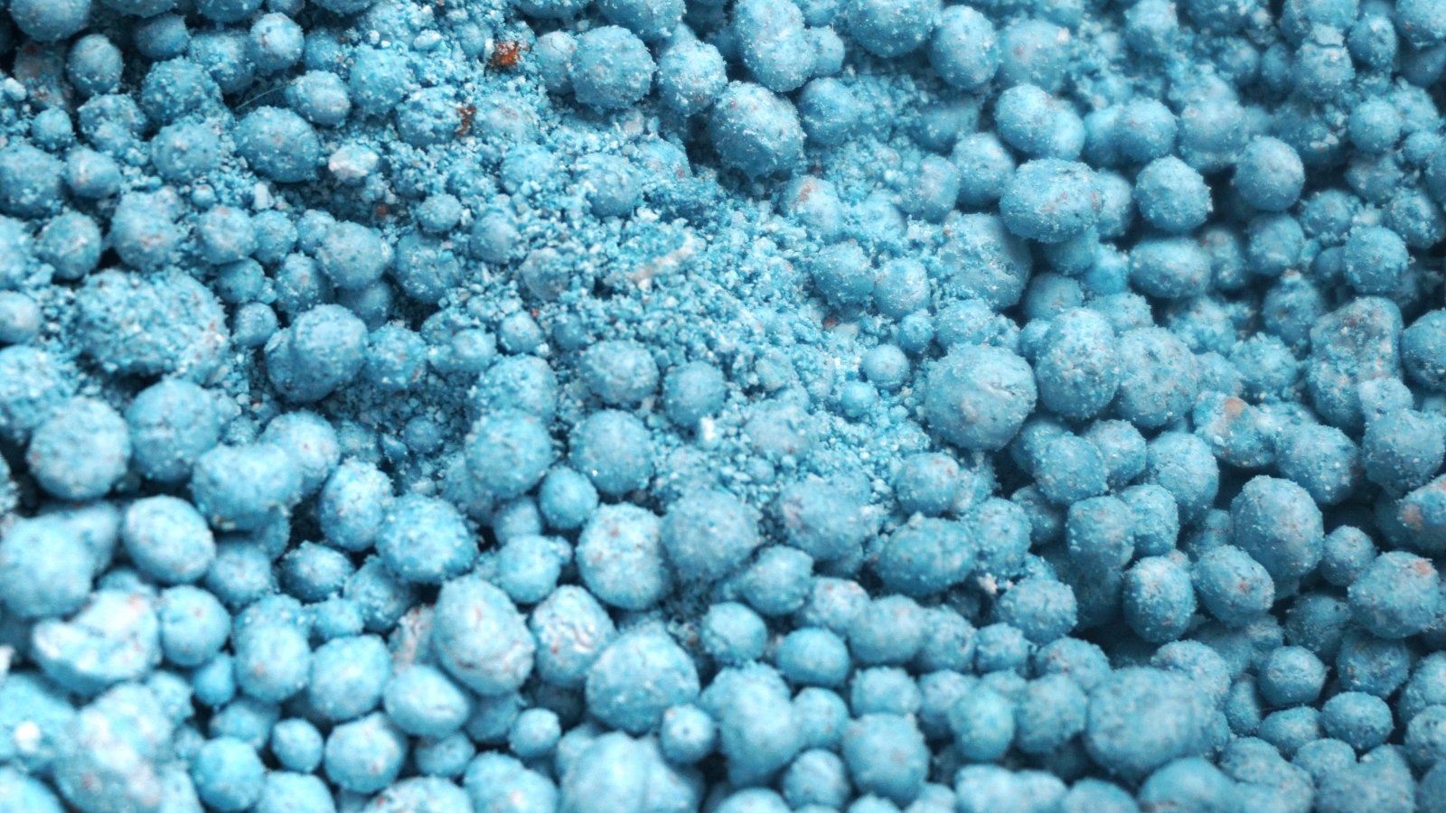 Close-up of NPK fertilizer. NPK fertilizer, a vital component in plant nutrition, appears as small, granular particles of bright blue color.