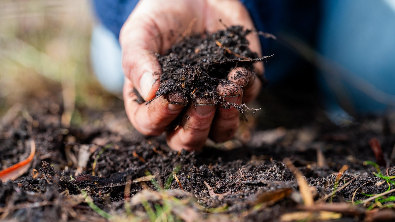 How Fast Does Compost Flip Into Soil?