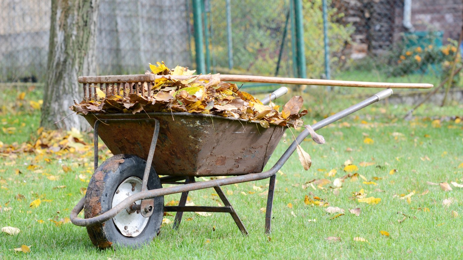 Go away It or Clear It? A Info to Cleaning Up The Fall Yard